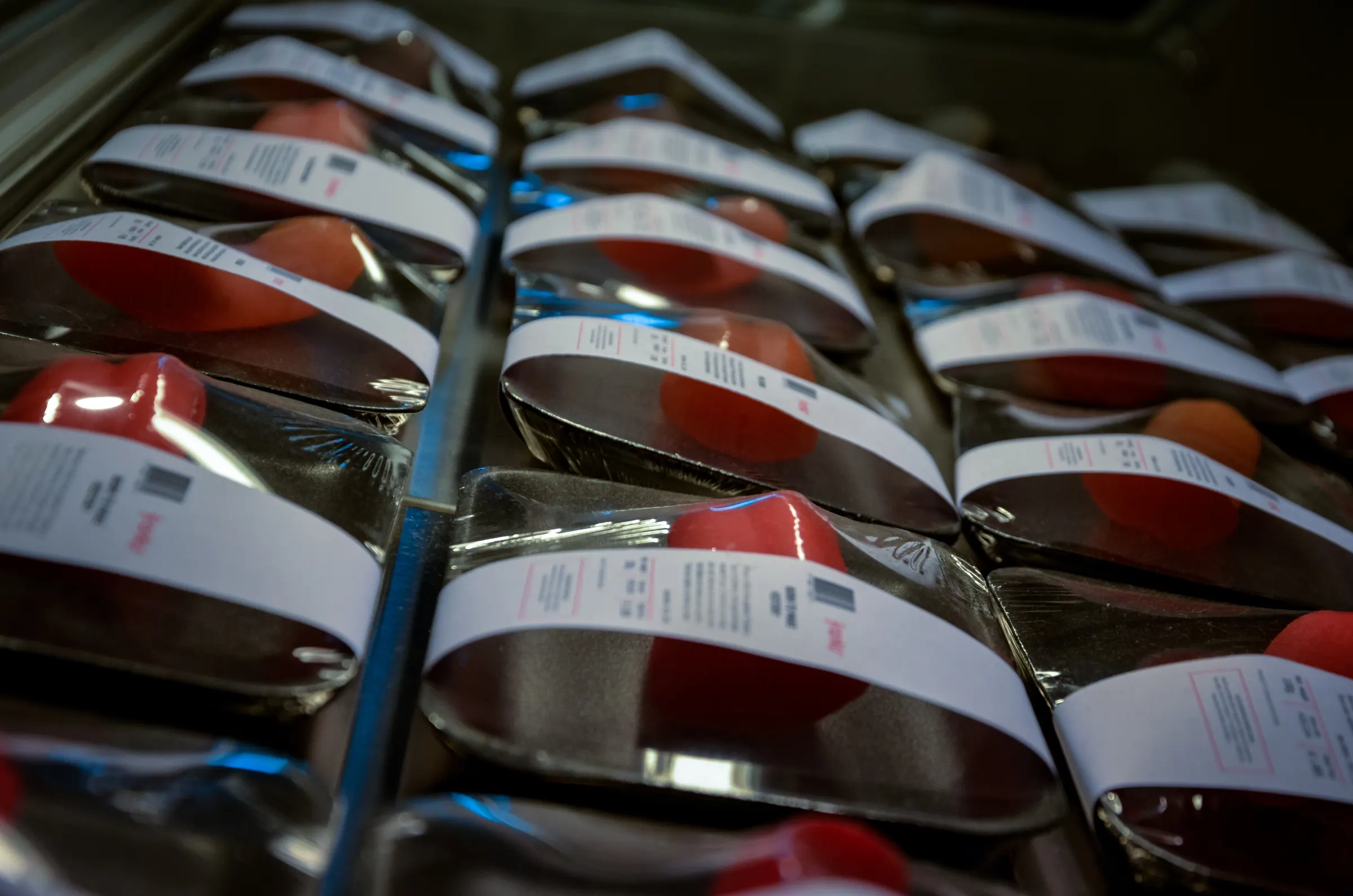 Exhibition at Dutch Design Week 2018 in Eindhoven showing experimental design installations