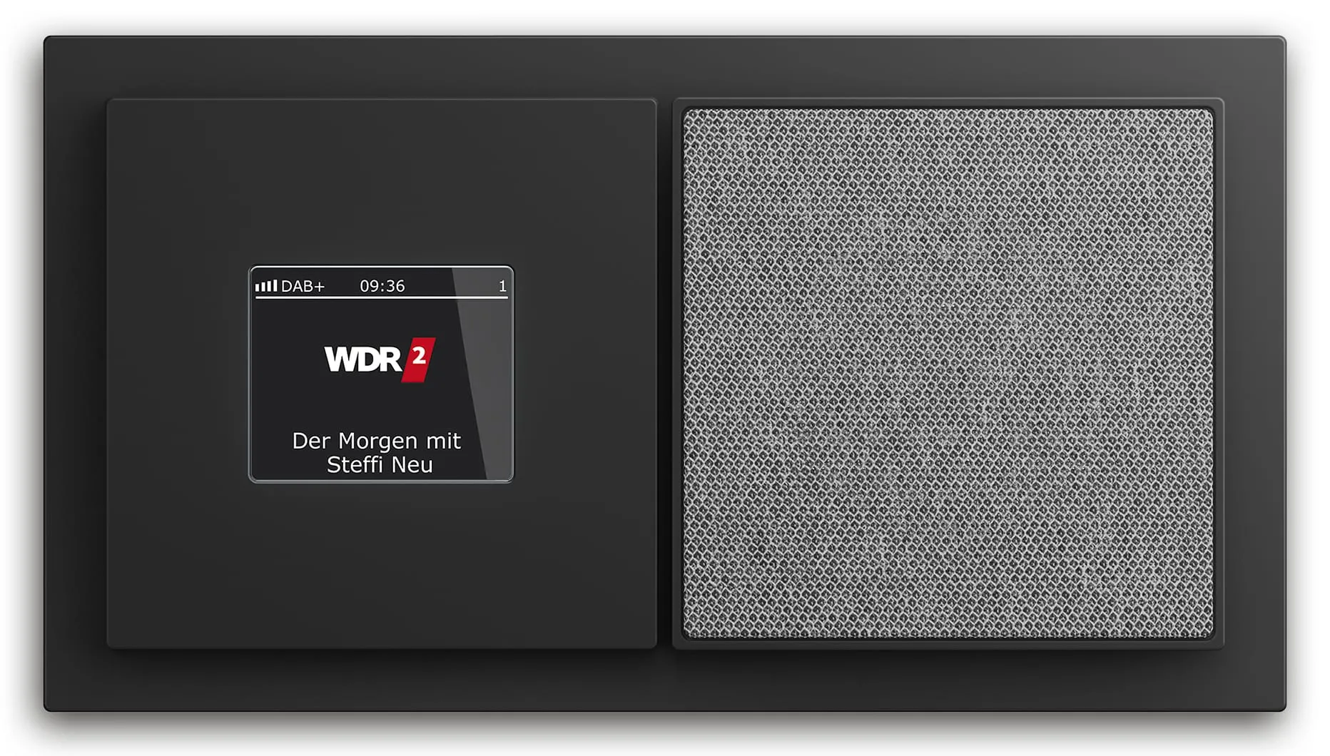 Busch-art linear speaker module by Busch-Jaeger showing DAB+ radio display and square speaker grille in dark frame